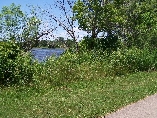 Poplar Creek trail at Bode Lake